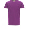 SUMMER VIOLET